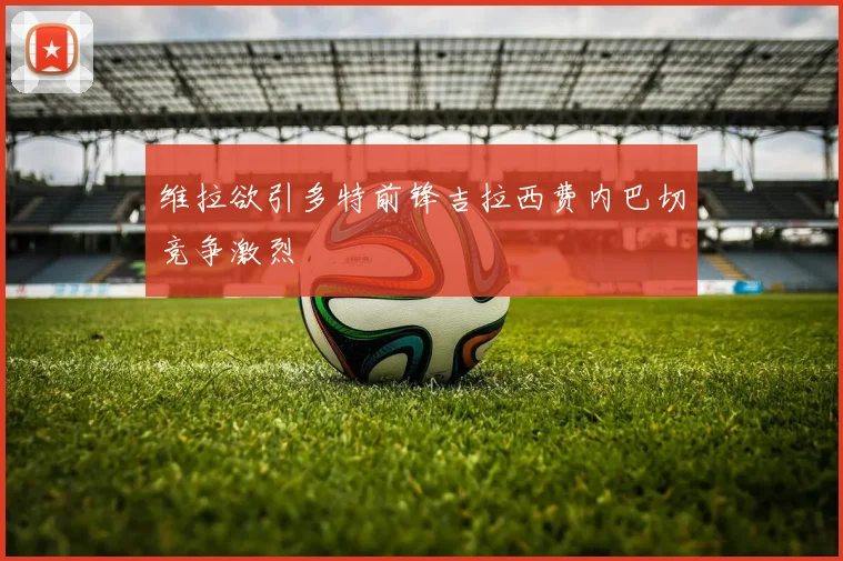 维拉欲引多特前锋吉拉西费内巴切竞争激烈