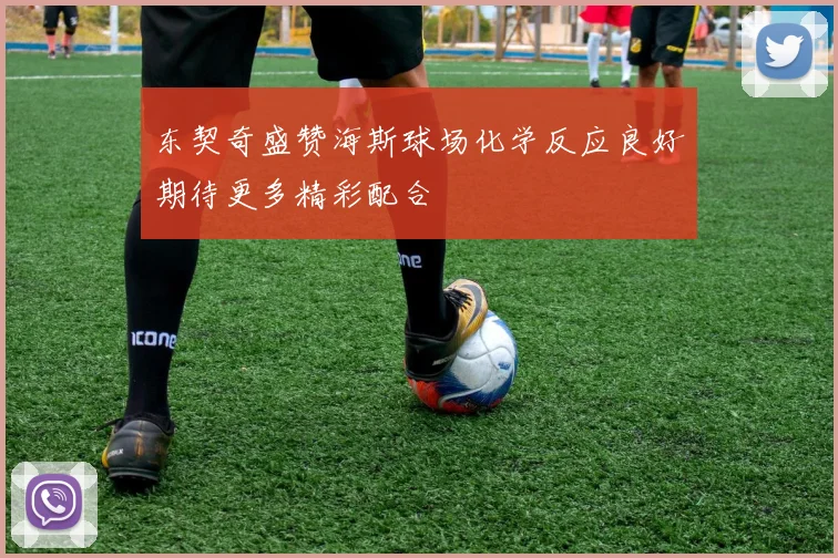 东契奇盛赞海斯球场化学反应良好期待更多精彩配合
